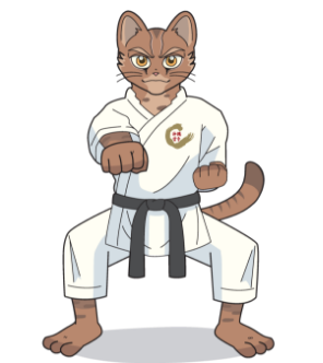 空手体験 沖縄小林流空手道協会 昭武館 屋宜道場 屋宜 実 教士7段と門下生による演舞＆空手体験教室